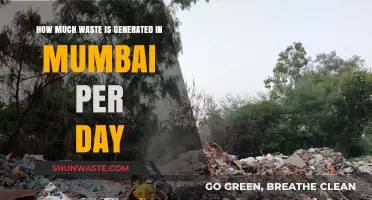 Mumbai's Daily Waste Generation: A Growing Concern