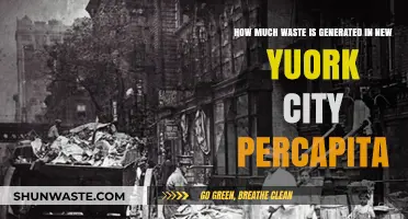 Waste Generation in New York City: A Per Capita Analysis