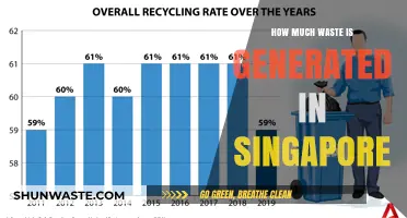 Singapore's Waste Generation: A Growing Concern for Sustainability