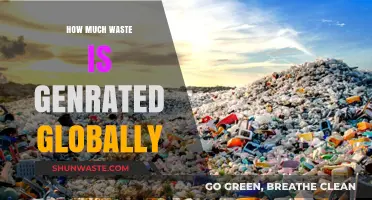 Global Waste Crisis: Understanding the Scale of Our Ecological Footprint