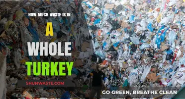 Gobble Gobble: Uncovering the Surprising Waste in Your Thanksgiving Turkey