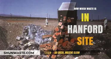 Unveiling the Hidden Dangers: Waste Management at Hanford Site
