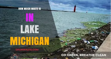 Unveiling the Hidden Dangers: Waste in Lake Michigan