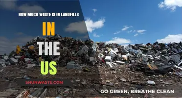 Uncovering the Hidden Crisis: Landfill Waste in the US