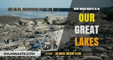 Unveiling the Hidden Crisis: Waste in Our Great Lakes