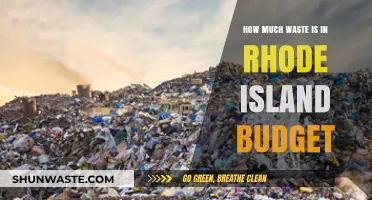 Uncovering Hidden Waste in Rhode Island's Budget: A Deep Dive