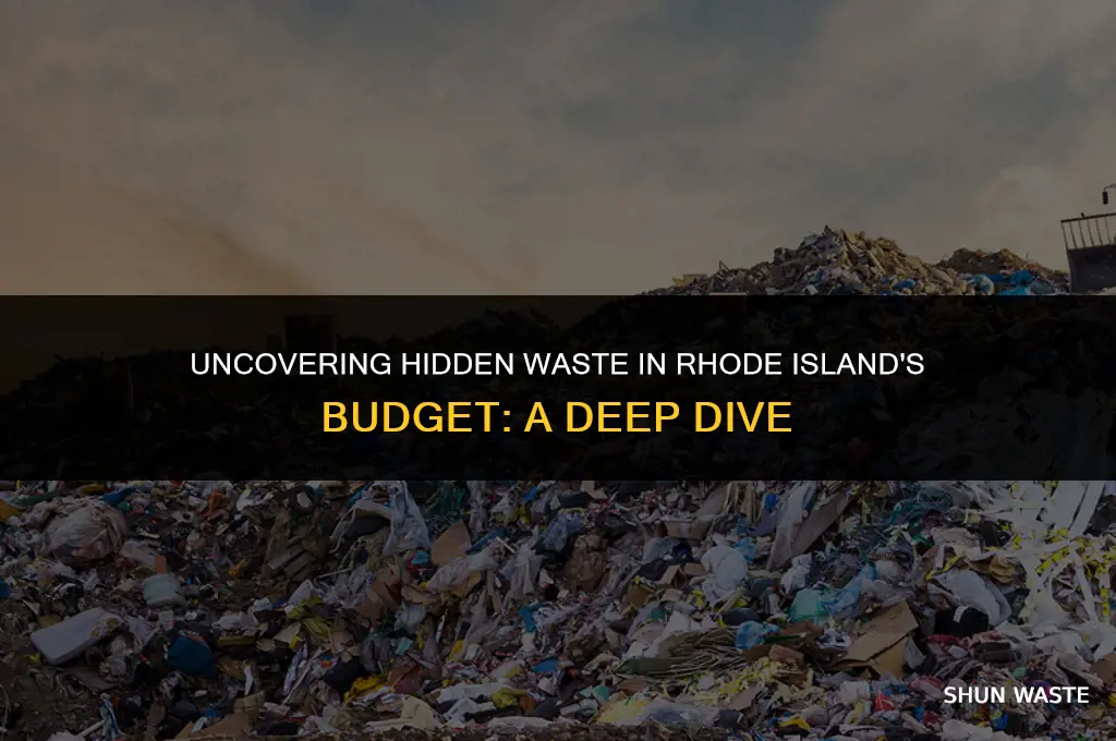 how much waste is in rhode island budget
