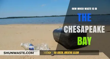 Exploring the Extent of Waste in the Chesapeake Bay