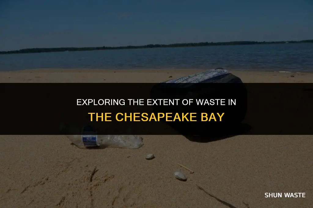 how much waste is in the chesapeake bay