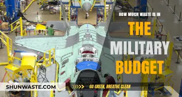 Uncovering Hidden Waste: A Deep Dive into Military Budget Inefficiencies