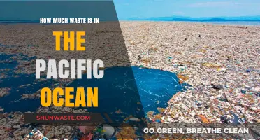 Exploring the Alarming Amount of Waste in the Pacific Ocean