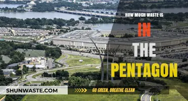 Unveiling the Hidden Waste: A Pentagon Expose
