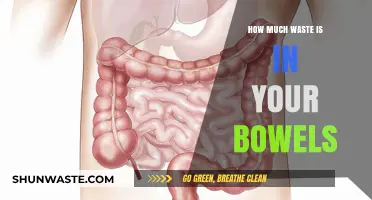 Unveiling the Hidden Waste: A Journey Through Your Bowels