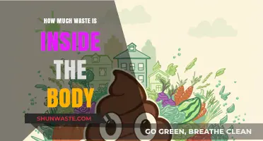Unveiling the Hidden Waste: A Journey Inside the Human Body
