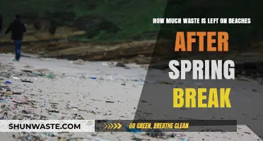 Spring Break's Aftermath: Uncovering the Hidden Waste on Beaches