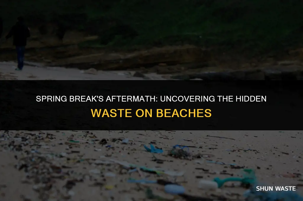 how much waste is left on beaches after spring break