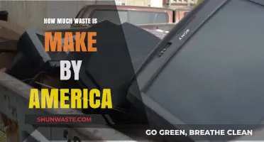 America's Waste Crisis: A Deep Dive into the Numbers