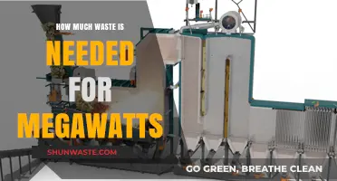 Unveiling the Hidden Costs: Waste-to-Megawatt Conversion Explained