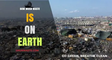 The Weight of Waste: Understanding Earth's Growing Garbage Crisis