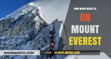 The Hidden Crisis: Uncovering the Shocking Waste on Mount Everest