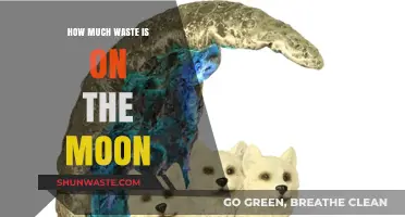 Lunar Litter: Unveiling the Surprising Amount of Waste on the Moon
