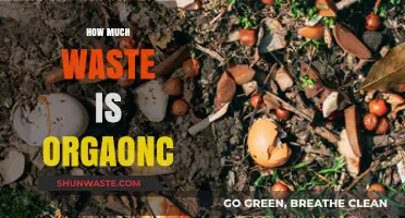 Unveiling the Surprising Amount of Organic Waste: A Comprehensive Guide