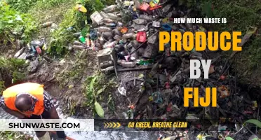 Unveiling Fiji's Waste Crisis: A Deep Dive into Environmental Impact