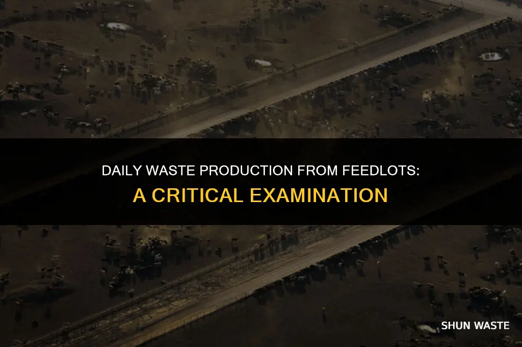 how much waste is produced a day from feedlots