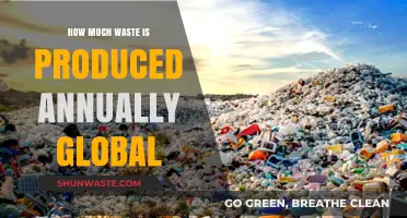 Global Waste Crisis: Understanding the Annual Impact of Our Consumption