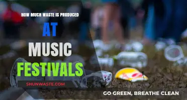 The Hidden Cost of Music Festivals: A Deep Dive into Waste Production