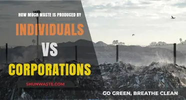 Individuals vs Corporations: Unveiling the Waste Production Disparity