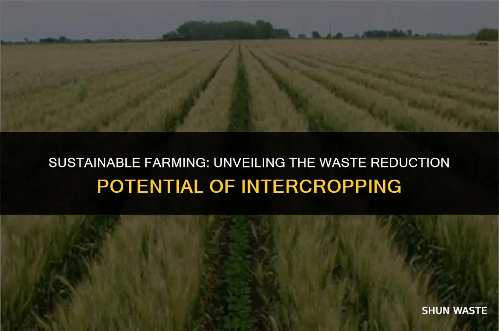 how much waste is produced by intercropping