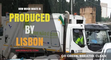 Unveiling Lisbon's Waste Production: A Comprehensive Analysis