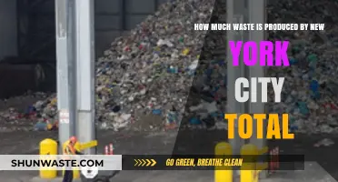 The Astonishing Scale of Waste Production in New York City