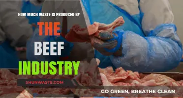 The Hidden Cost of Burgers: Unveiling the Beef Industry's Waste Crisis