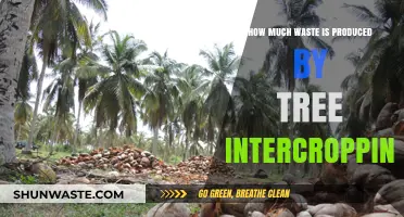 Sustainable Agriculture: Unveiling the Waste Production in Tree Intercropping Systems