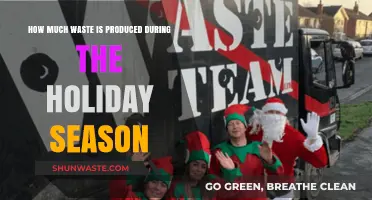 Unwrapping the Impact: Holiday Season Waste Revealed