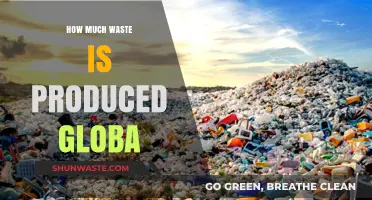 Global Waste Crisis: Understanding the Scale of Our Ecological Footprint