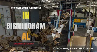Waste Management in Birmingham, AL: A Comprehensive Overview