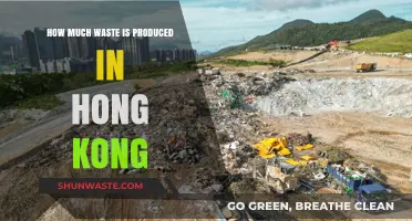 Waste Management in Hong Kong: A Growing Concern