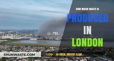 London's Waste Crisis: Uncovering the Scale of the Problem