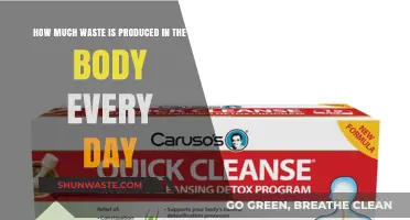 Daily Detox: Understanding the Body's Natural Waste Production