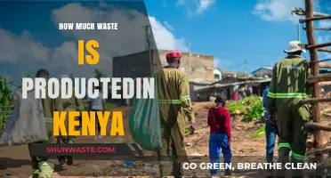 Unveiling the Scale of Waste Production in Kenya: A Comprehensive Overview