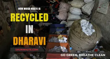Unveiling Dharavi's Recycling Secrets: A Comprehensive Waste Management Overview