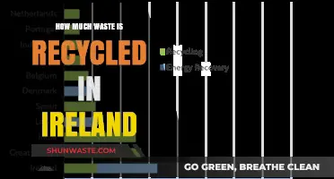 Unveiling Ireland's Recycling Efforts: A Comprehensive Waste Management Overview