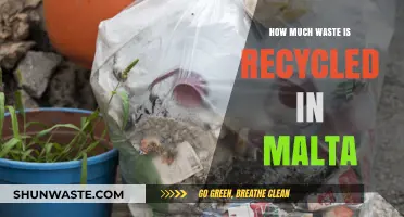 Malta's Recycling Efforts: A Comprehensive Overview of Waste Management