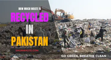 Unveiling Pakistan's Recycling Efforts: A Comprehensive Overview