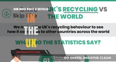 Unveiling the Truth: The UK's Recycling Rates Revealed
