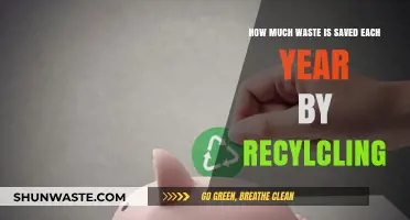 Sustainable Impact: The Annual Waste Reduction Through Recycling