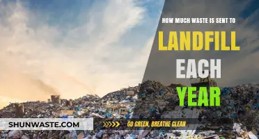 Annual Landfill Waste: A Sobering Look at Our Growing Problem